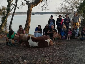 Lire la suite à propos de l’article Une semaine de vacances avec les poneys