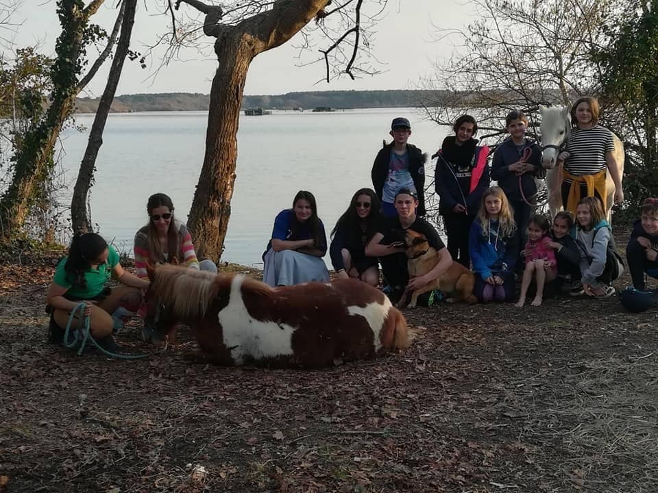Lire la suite à propos de l’article Une semaine de vacances avec les poneys